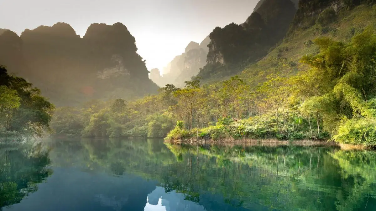 先进高端